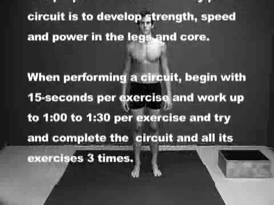 Lower Body Power Circuit